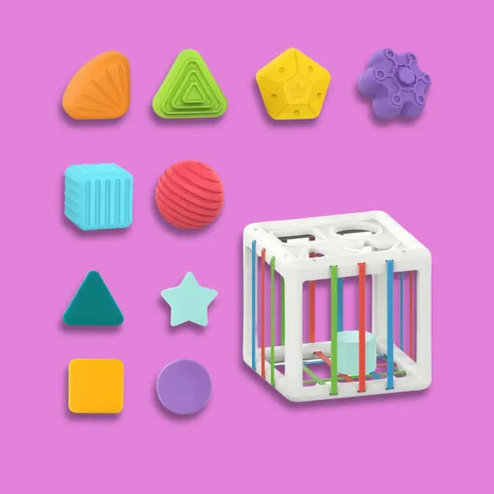ShapeNest™ Montessori Sensory Sorting Cube